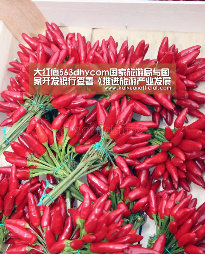 大红鹰563dhycom国家旅游局与国家开发银行签署《推进旅游产业发展战略合作协议》|开元棋牌